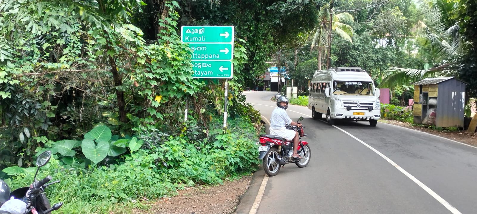 കാഴ്ച്ച മറച്ച്  കാട് ‘… അപകടം തുടർക്കഥയായി ആലാംപള്ളി മാന്തുരുത്തി റോഡ് 