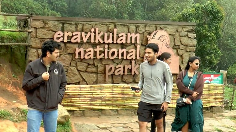 വിനോദ സഞ്ചാരികളുടെ പ്രിയപ്പെട്ട ഇടം, രാജ്യത്തെ മികച്ച ദേശീയോദ്യാനമെന്ന നേട്ടവുമായി ഇരവികുളം