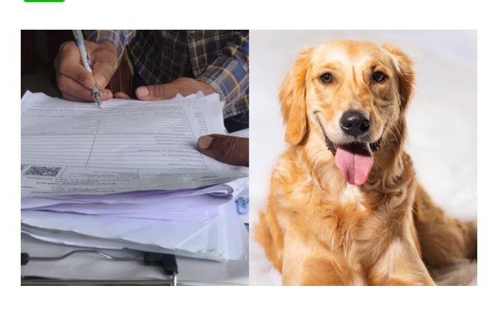 സൂക്ഷിക്കുക!!!എന്യൂമറേഷൻ ഫോം പൂരിപ്പിച്ച് വാങ്ങാൻ വീട്ടിലെത്തിയ ബിഎൽഓയ്ക്ക് വളർത്തുനായയുടെ കടിയേറ്റു…