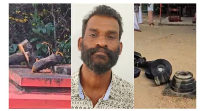 സർപ്പക്കാവിലെ വിഗ്രഹങ്ങളും വിളക്കുകളും നശിപ്പിച്ചു, ലക്ഷ്യം…